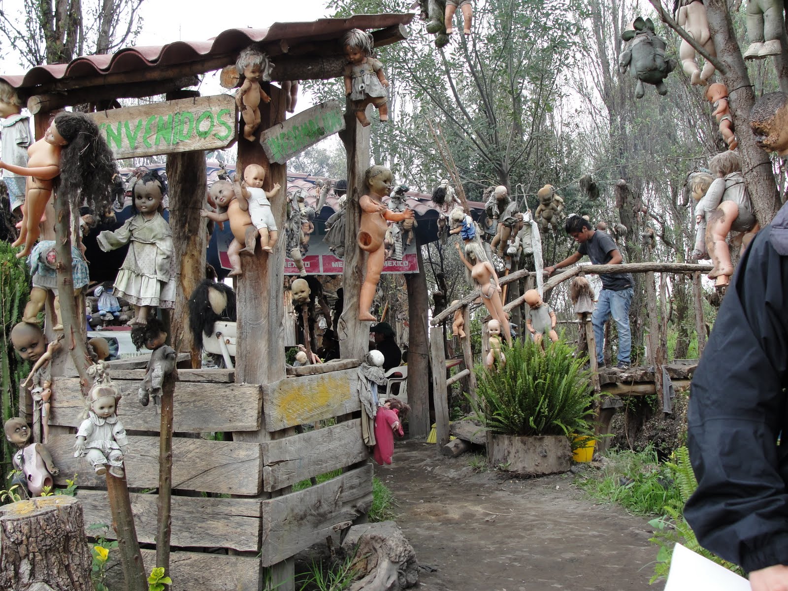 Weird Landmarks You'll Want to Visit - Isla de las Muñecas, Mexico