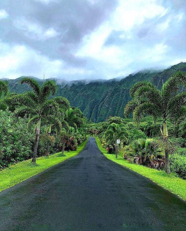 Sixteen Fascinating Photos of Unusual Things - Hawaii